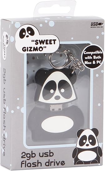 Panda 2GB USB Flash Drive (GZ1002)