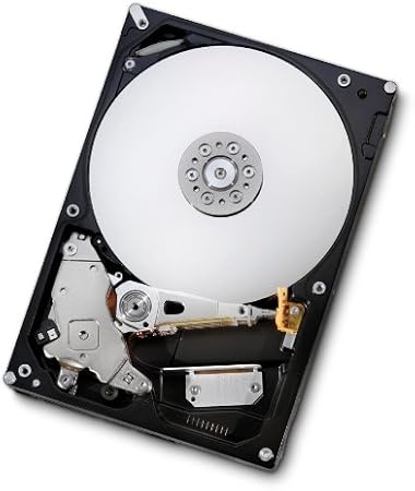 HGST Deskstar 3.5-Inch 320GB 7200RPM SATA II 8 MB Cache Internal Hard Drive (0A39264)