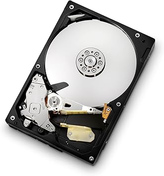 HGST Deskstar 3.5-Inch 1TB CoolSpin RPM SATA II 8 MB Cache Internal Hard Drive (0F12957)