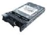 Lenovo Hard Drive - 300 Gb - Hot-swap - 15000 RPM