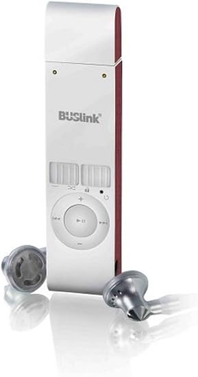 Buslink MP3-PBD2G Musica 2 GB MP3 Player and Flash Drive (Silver)