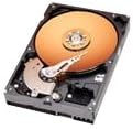 Western Digital Caviar 40 GB EIDE Internal Hard Drive (WD400BBDTL)