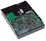 Hewlett Packard HP Hard Drive - 60 GB - ATA-100 (354052-B21)