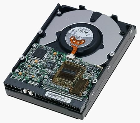 Western Digital 20.4GB HDD Internal Drive