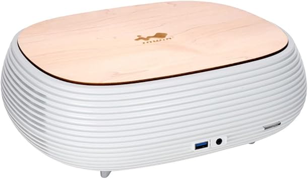 in Win B1 Pure White Mini-ITX Chassis with 200Watts 80+Gold PSU and Wood Top Panel