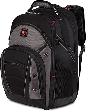 Wenger Luggage Synergy 18-Inch, Black/Grey, 16