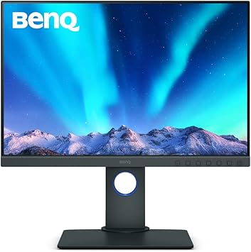 BenQ SW240 Photo Video Editing Monitor 24