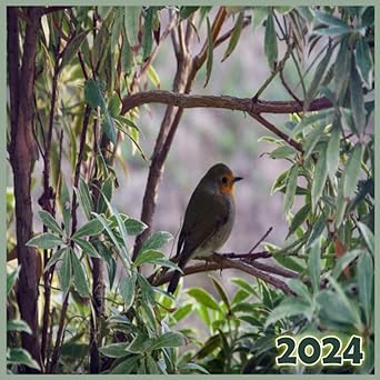 2024: Oiseaux: Un calendrier de bureau 2024 avec des images fascinantes et des espaces pour les rendez-vous - Format carré 21,59 x 21,59 cm