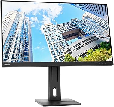 Lenovo ThinkVision E28u-20 28