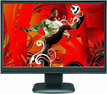 V7 D19W12A-N6 19-Inch LCD Widescreen Monitor