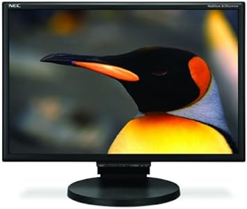 NEC LCD205WNXM-BK 20-Inch Wide LCD with USB DVI Speaker (Black)