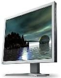 EIZO 19IN LCD 450:1 1600X1200 CG19 Gray 2- Dvi-i USB with Colornavigator