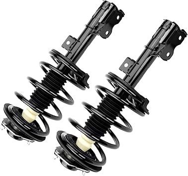 PHILTOP Front Struts Shock for Maxima 2004 2005 2006 2007 2008, Shock Absorber 172241+172240, Struts with Coil Spring SAA059 2 Pcs