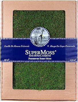 SuperMoss Preserved Long Lasting Large Flat Sheets of Moss, Fresh Green