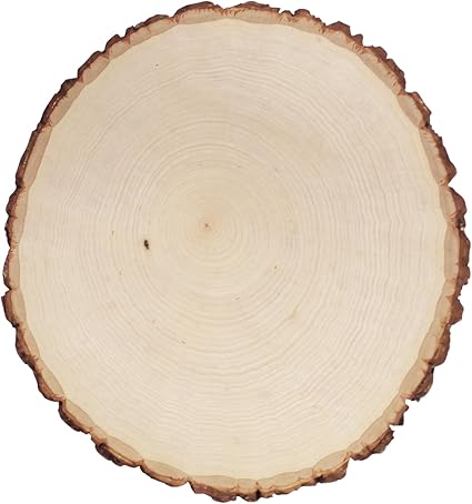 Walnut Hollow Basswood Country Round, Thick for Woodburning, Home Décor and Rustic Weddings