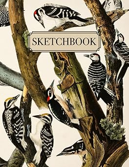 Bird Sketchbook: Aesthetic Doodles & Drawings Notebook | Vintage Woodpeckers Illustrated Cover | Drawing Pad | Large Journal with Blank Pages for Drawing, Sketching, Journaling, and Doodling