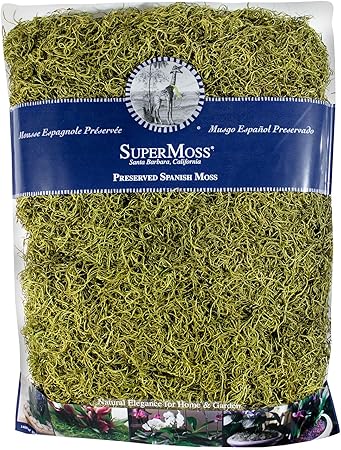 SuperMoss Spanish Moss Preserved, Basil