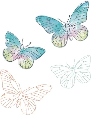 Sizzix A5 Clear Stamps & Framelits Dies - Painted Pencil Butterflies by 49 and Market