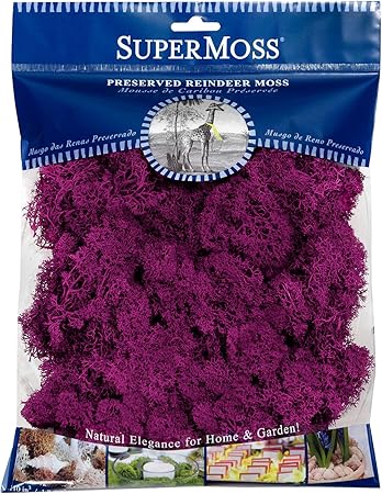 SuperMoss Reindeer Preserved Long Lasting Decorative Moss for Floral Décor Potted Plants and Indoor Planters, Fuchsia