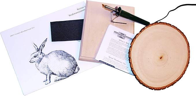 Walnut Hollow Creative Woodburning (Pyrography) Kit for the Beginner in Arts, Crafts & Hobby