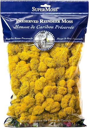 SuperMoss Reindeer Preserved Long Lasting Decorative Moss for Floral Décor Potted Plants and Indoor Planters, Sunflower