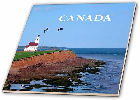 3D Rose Image of Lighthouse On Prince Edward Island Canada Ceramic Tile, Multicolor