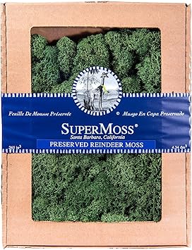 SuperMoss Reindeer Preserved Long Lasting Decorative Moss for Floral Décor Potted Plants and Indoor Planters, Forest