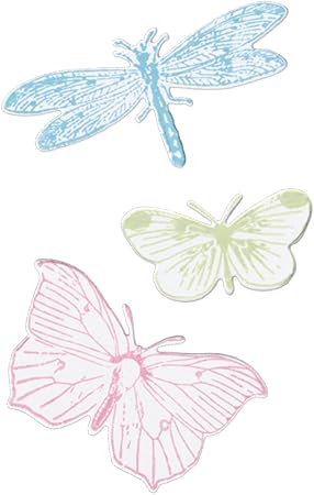 Sizzix Framelits Dies & Stamps - Engraved Wings by 49 and Market