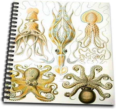 3dRose db_80725_1 Picture of 1800 Drawing of Famous Biologist Squids-Drawing Book, 8 by 8