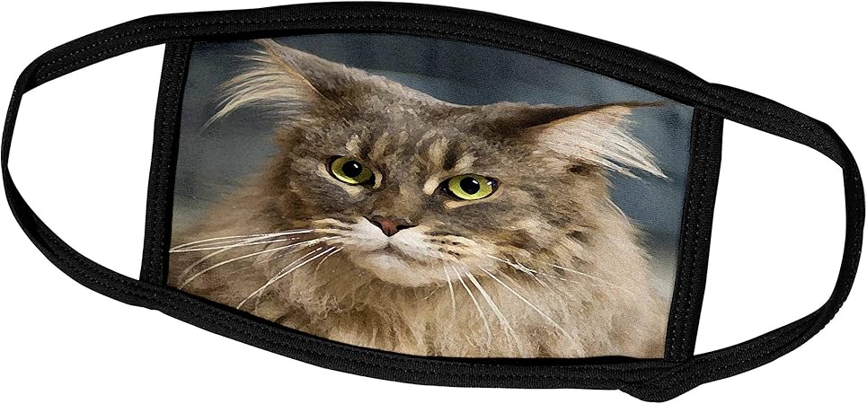 3dRose Face Mask Large, Maine Coon