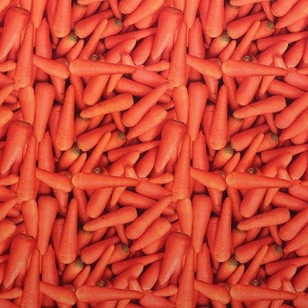 MOOK FABRICS Cotton Fruits-Vegetables Carrots, Orange 15 Yard Bolt