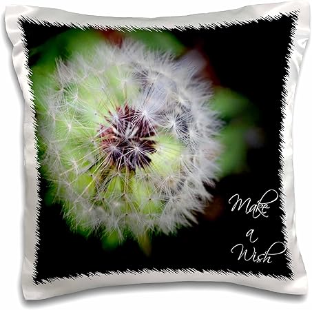 3dRose Make a Wish Dandelion Puff Ball-Pillow Case, 16-inch (pc_30607_1)