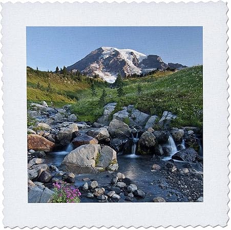 3dRose qs_95231_6 Washington, Mt Rainier NP, Paradise Meadows-US48 CCR0278-Charles Crust-Quilt Square, 16 by 16-Inch