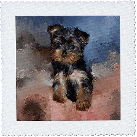 3dRose qs_3868_1 Toy Yorkie Puppy Quilt Square, 10 by 10-Inch