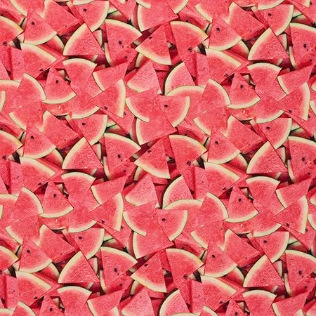 MOOK FABRICS Cotton Fruits-Vegetables Watermelon, Red/Green 15 Yard Bolt