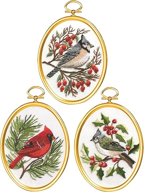 Janlynn Winter Birds Cross Stitch Supplies, Multi-Colored