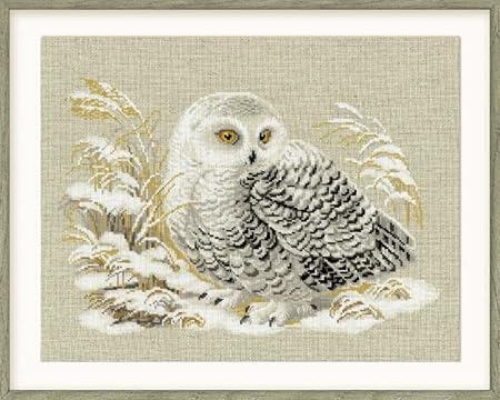 RIOLIS 1241 White Owl