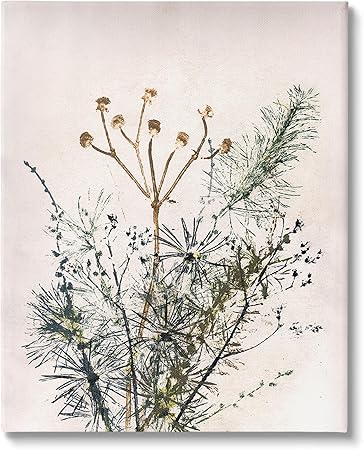 Stupell Industries Pine Needles Impression Canvas Wall Art by Pernille Folcarelli