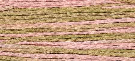 Weeks Dye Works Classic Collection Embroidery Floss, 5 yd, Mexicali