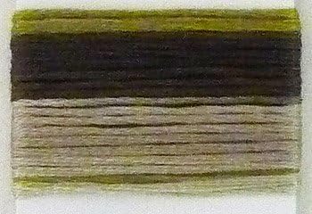 Lecien Japan SE80-8017 Cosmo Seasons Variegated Embroidery Floss, Dark Greens