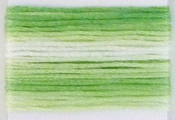 Lecien Japan SE80-8013 Cosmo Seasons Variegated Embroidery Floss, Greens