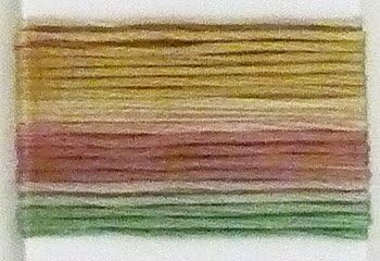 Lecien Japan SE80-8073 Cosmo Seasons Variegated Embroidery Floss, Brown/Green/Gold