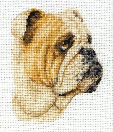 Anchor Maia 18 Count Bulldog Counted Cross Stitch Kit, 4-1/4 by 3-Inch