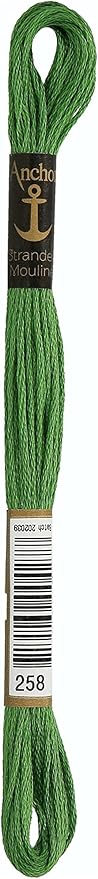 Anchor Six Strand Embroidery Floss 8.75 Yards-Parrot Green Dark 12 per Box