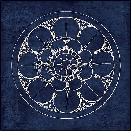 Trademark Fine Art 'Rosette III Indigo' Canvas Art by Wild Apple Portfolio