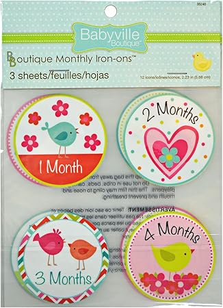 Babyville Boutique 35240 Monthly Iron-On, Little Bird And Heart (12-Count)