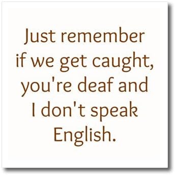 3dRose ht_200736_3 Just Remember If We Get Caught I'm Deaf and You Don't Speak English Iron on Heat Transfer, 10 by 10