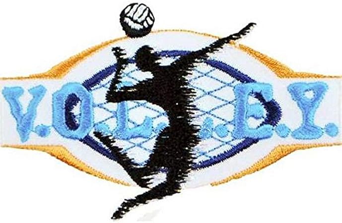 Expo International Volleyball Sport Embroidered Iron-on Applique Trim Embellishment, Multi-Color