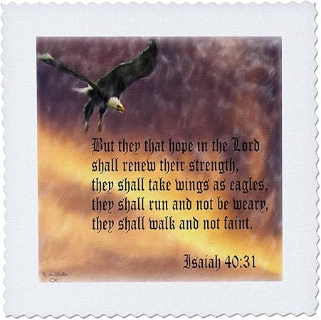 3dRose qs_27419_9 Isaiah 40-31 Bible Verse with Eagle Against a Troubled Sky Quilt Square, 22 by 22-Inch