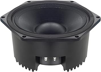 B&C Speakers 10NSM76-8 LF Drivers 10-inch ND Sealed Mid Pro Audio Component Speaker Driver for Motorcycle Car with 8 Ohms Impedance 400 Watts Rms 800 Watts Max Neodymium Inside Slug